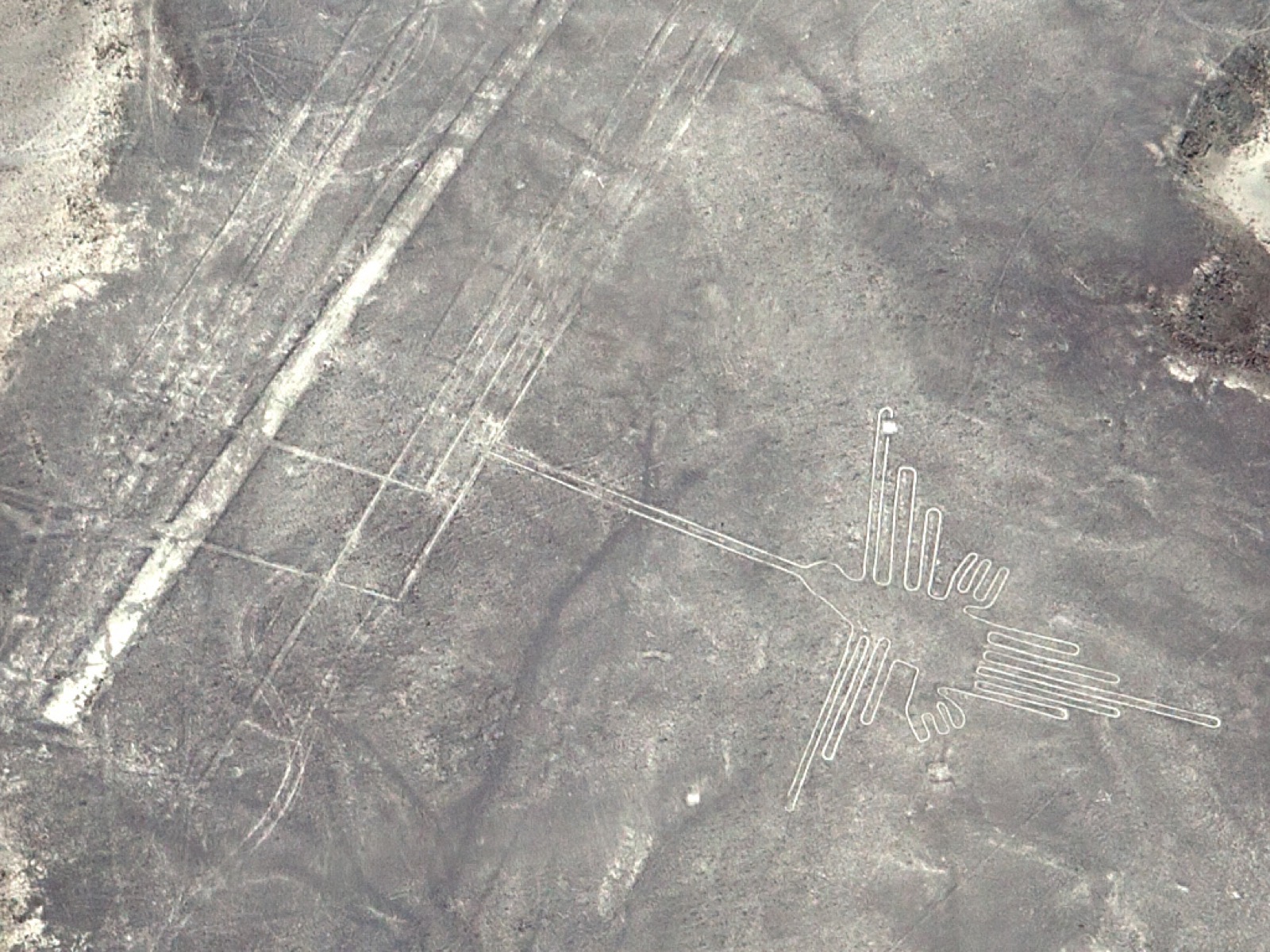 Geoglifo del colibrí, Líneas de Nazca